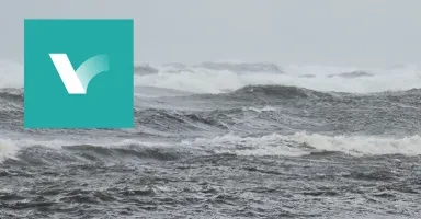 Võõrsil ja kodus