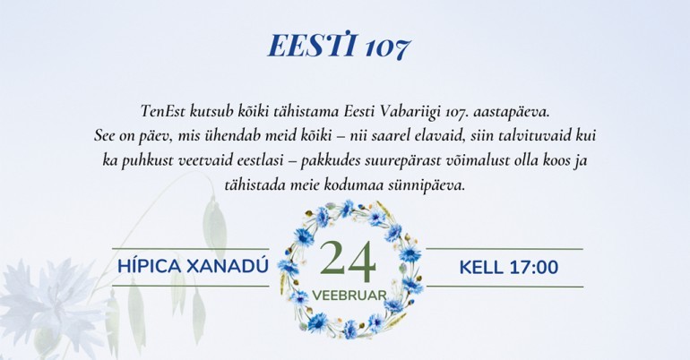 Eesti Vabariigi 107.aastapäeva tähistamine Tenerifel	