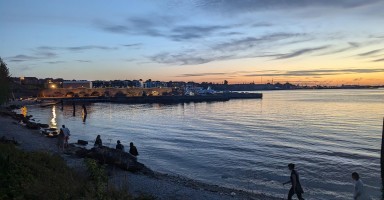 Uued Juured: Foreign Estonian Beach Gathering
