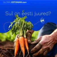 Global Estonian (1080 x 1080)