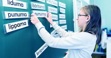 В Эстонии не хватает педагогов, которые смогли бы подготовить будущих учителей для русских школ