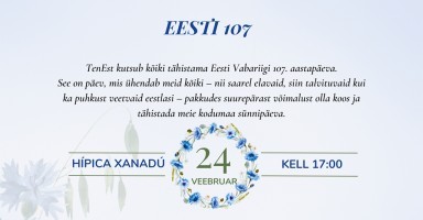 Eesti Vabariigi 107.aastapäeva tähistamine Tenerifel	