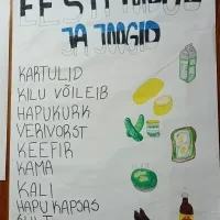 Foto: NoorEST - väliseesti noorte keele ja kultuuri laager